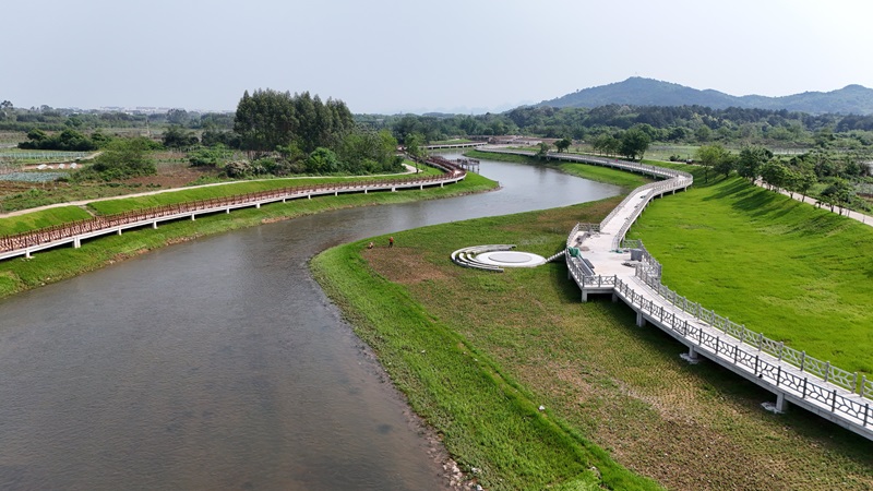 實干當“夏”丨廣西工程咨詢集團扎實開展漓江生態(tài)修復全咨項目評估驗收